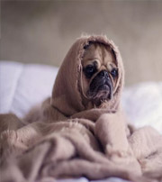 临高有这样的手机号码，留不住钱，你中枪了吗？