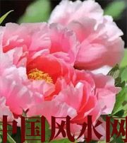 临高预示你财运上升，姻缘可成的梦境，快来看看吧！