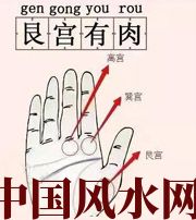 临高这个地方肉越多，财运就越好