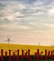 临高风水知识：家里怎么布置财运更好？